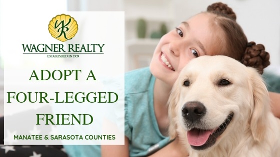 Manatee & Sarasota Pet Adoption